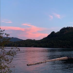 Meet your Posher, Elliott